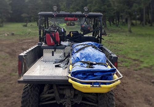 UTV with litter